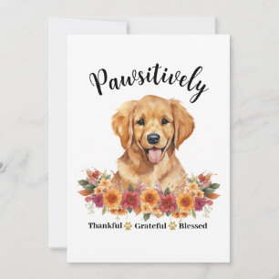 Pawsitively Thankful Grateful Blessed Cute Dog Card