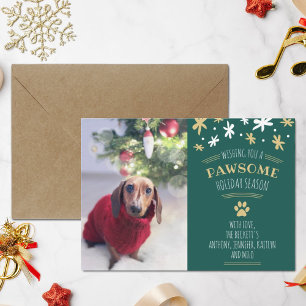 Pawsome Holiday Season Pet Holiday Photo