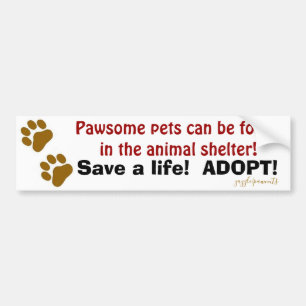 Pawsome pets bumper sticker