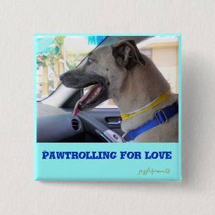 Pawtrolling 15 Cm Square Badge