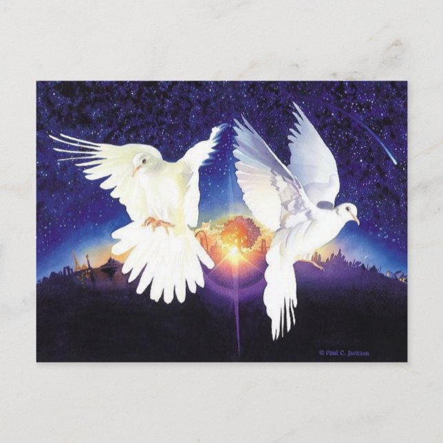 "Pax in Terra" Dove Scene Postcard (Front)