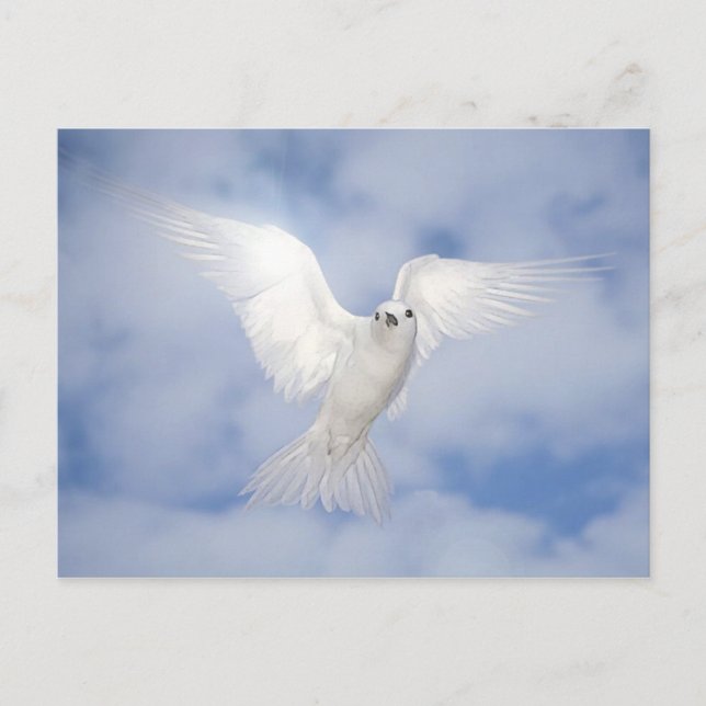 Pax Postcard (Front)