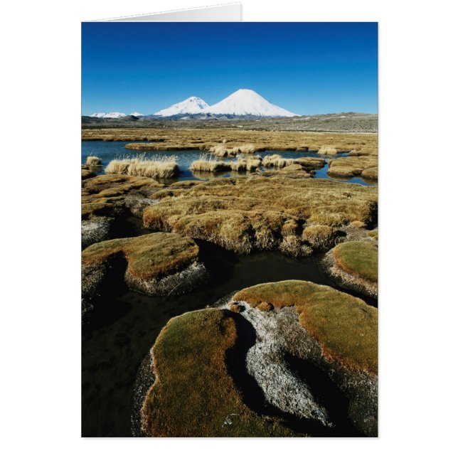 Payachalas Volcanos (Front)