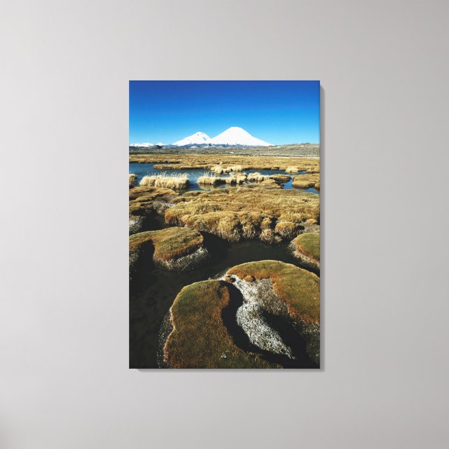 Payachalas Volcanos Canvas Print (Front)