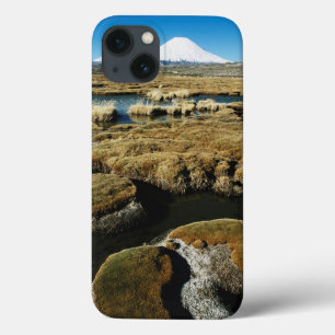 Payachalas Volcanos iPhone 13 Case