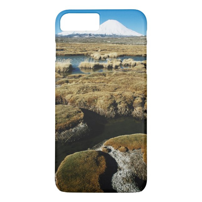 Payachalas Volcanos Case-Mate iPhone Case (Back)