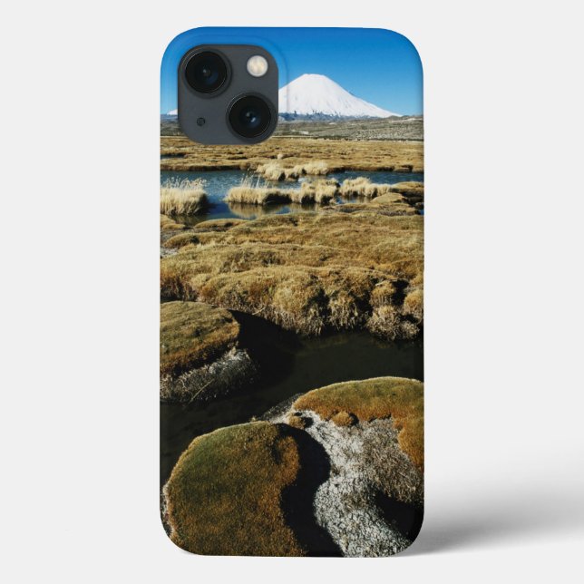 Payachalas Volcanos Case-Mate iPhone Case (Back)