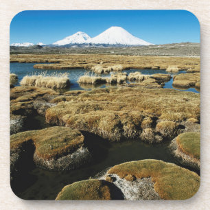 Payachalas Volcanos Coaster