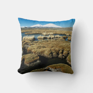 Payachalas Volcanos Cushion