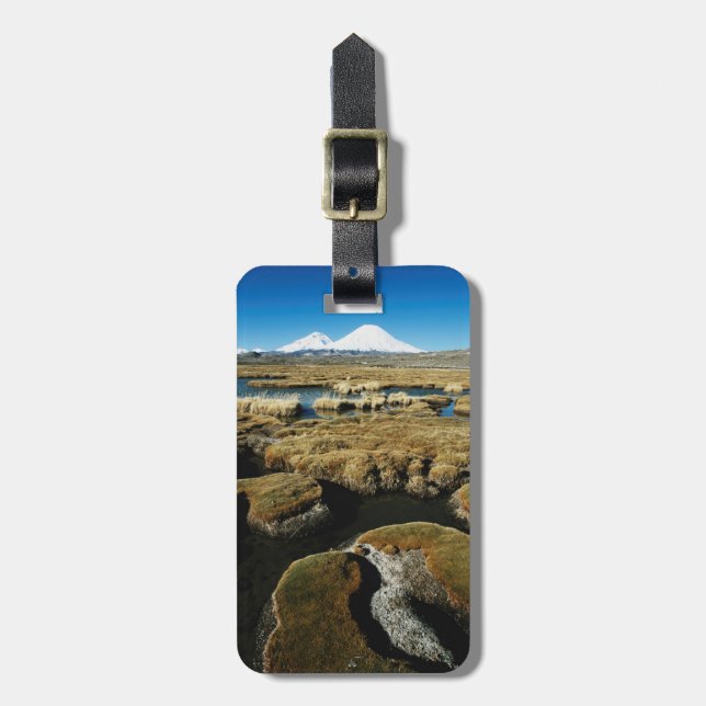 Payachalas Volcanos Luggage Tag (Front Vertical)