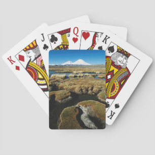 Payachalas Volcanos Playing Cards