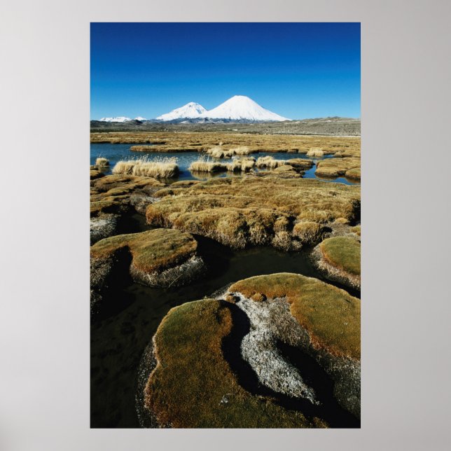 Payachalas Volcanos Poster (Front)