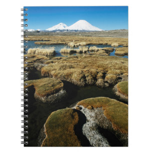 Payachalas Volcanos Spiral Notebook