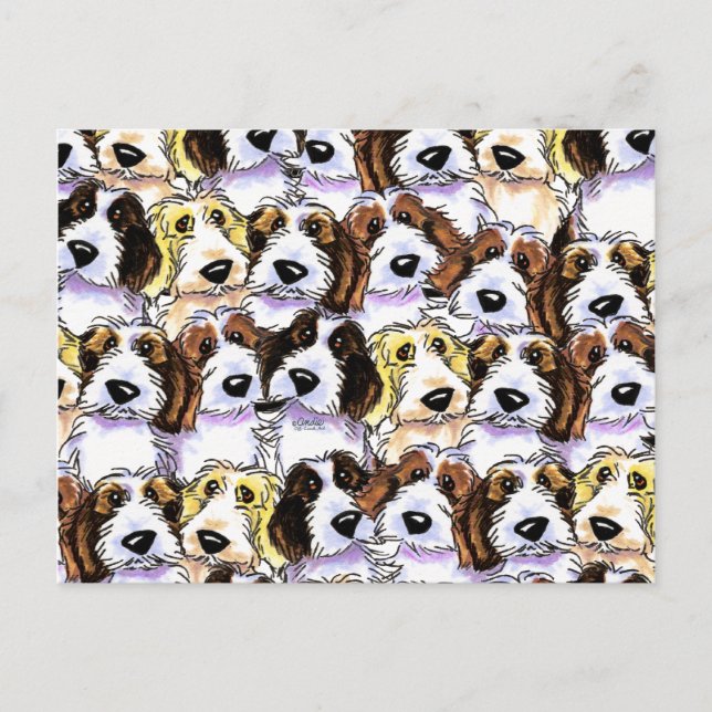 PBGV Pack Postcard (Front)