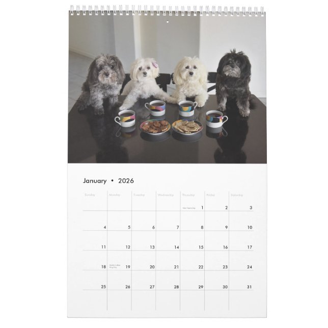PBJ Pack 2017 Calendar (Jan 2026)