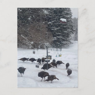 PC winter party gathering get-together meeting fun Postcard