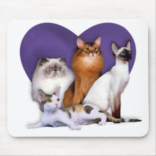 PCBR Mousepad! Mouse Pad