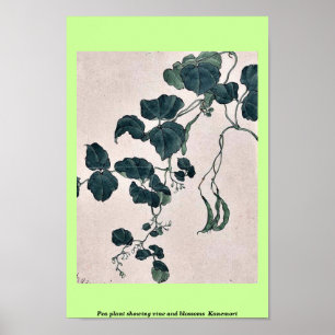 Pea plant showing vine and blossoms Kanemori Poster