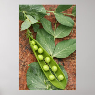 Pea Pod Poster
