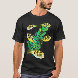 Pea Puffers Aquarium Fish Dwarf Puffer Fish Tank