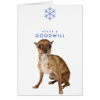 PEACE AND GOODWILL_1