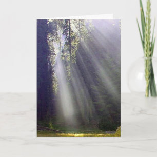 Peace and Joy Holiday Card