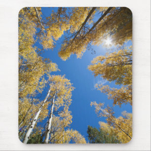 Peace and serenity in the Aspen's Mouse Pad