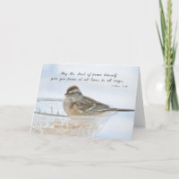 Peace at All Times - Scripture Card