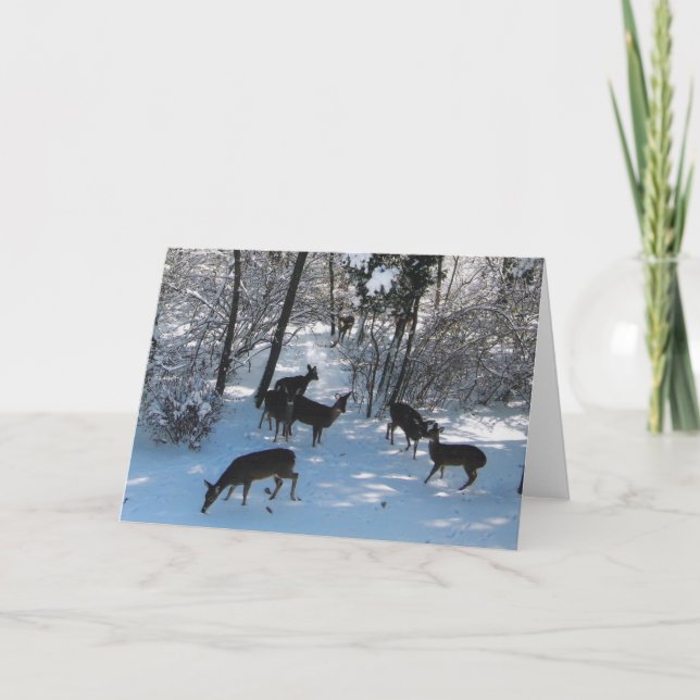 Peace at Christmas Card (Front)