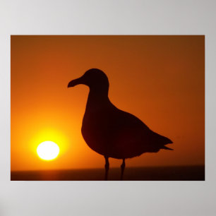 Peace be Still_ Poster