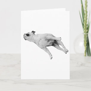 Peace Be With Your Paws Card