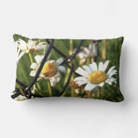 Peace behind the fence. Illustrative in flowers.