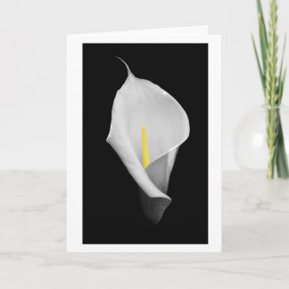 Peace Card