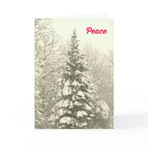 Peace Christmas Card with a Snowy Scene