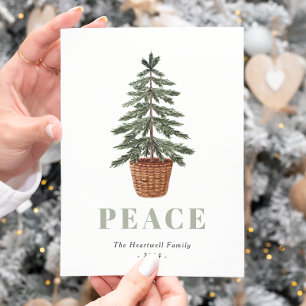 Peace Christmas Evergreen Tree Simple Holiday Postcard