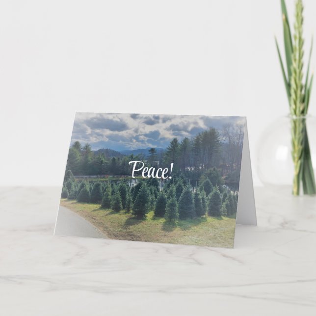 Peace, Christmas Folded Greeting Card (Front)