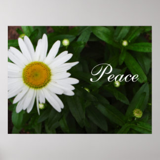 Peace Daisy Print