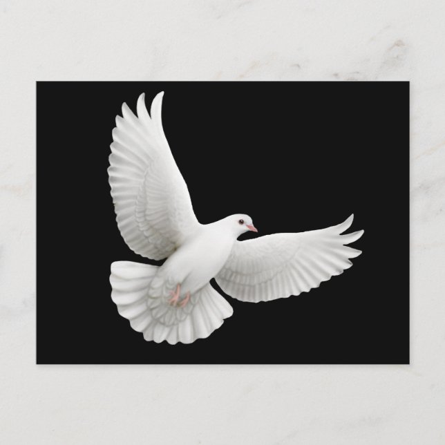 Peace Dove Postcard (Front)