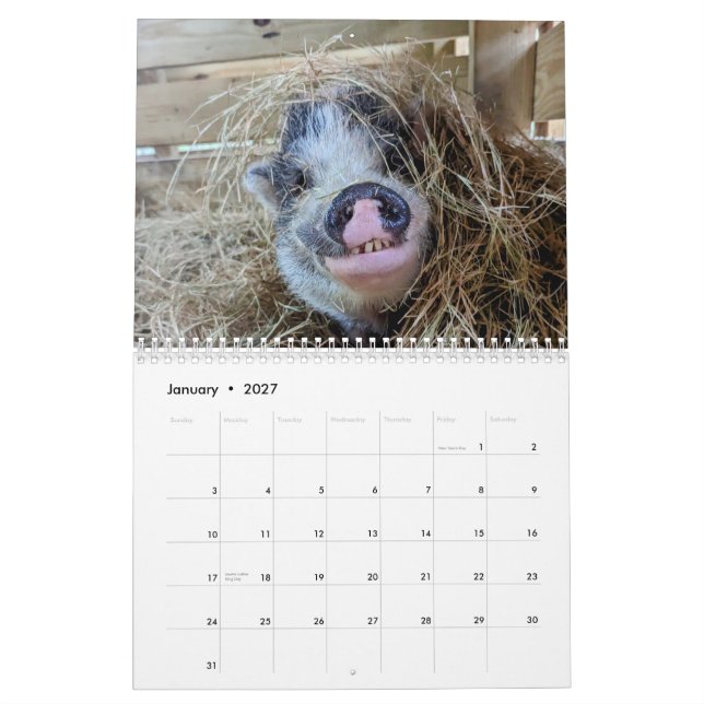 Peace Farm Calendar (Jan 2027)
