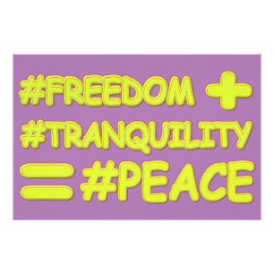 "PEACE FORMULA EQUATION" Cute Design. Buy Now Photo Print