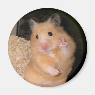 Peace Hamster Meme Magnet
