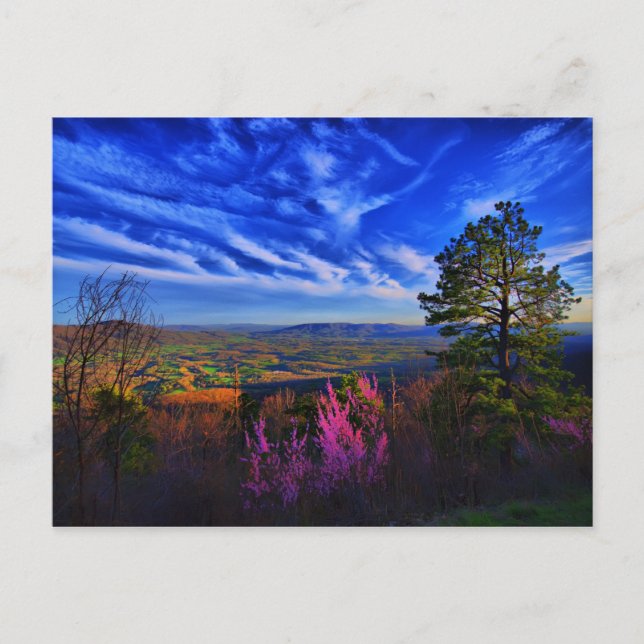 peace in the valley postcard (Front)