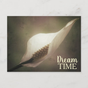 Peace Lily Dream Time Phrase Postcard