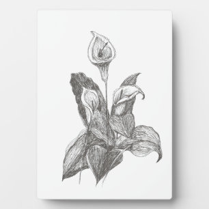 Peace Lily Fine Art Drawing Plaque