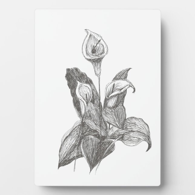Peace Lily Fine Art Drawing Plaque (Front)