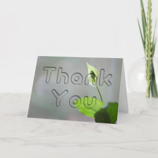Peace Lily Floral Thank You Card
