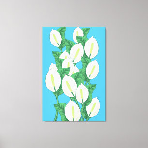 Peace Lily Illustration Canvas Print