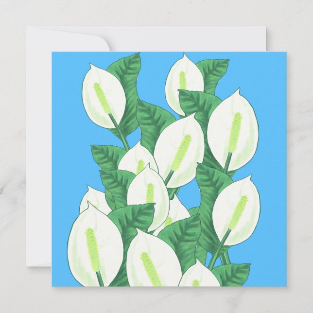 Peace Lily Illustration Greeting Card (Front)