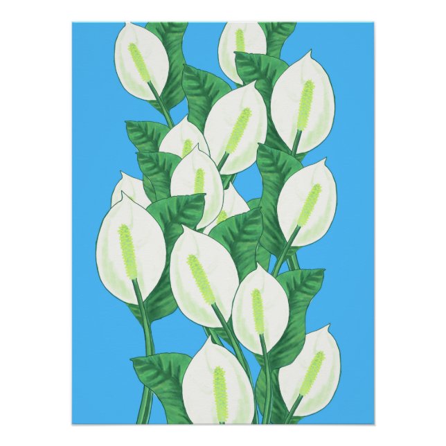 Peace Lily Illustration Poster (Front)