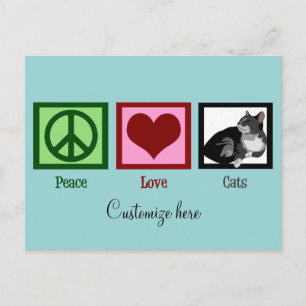 Peace Love Cats Cute Custom Teal Postcard